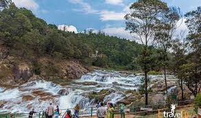 ooty tour package from kolkata